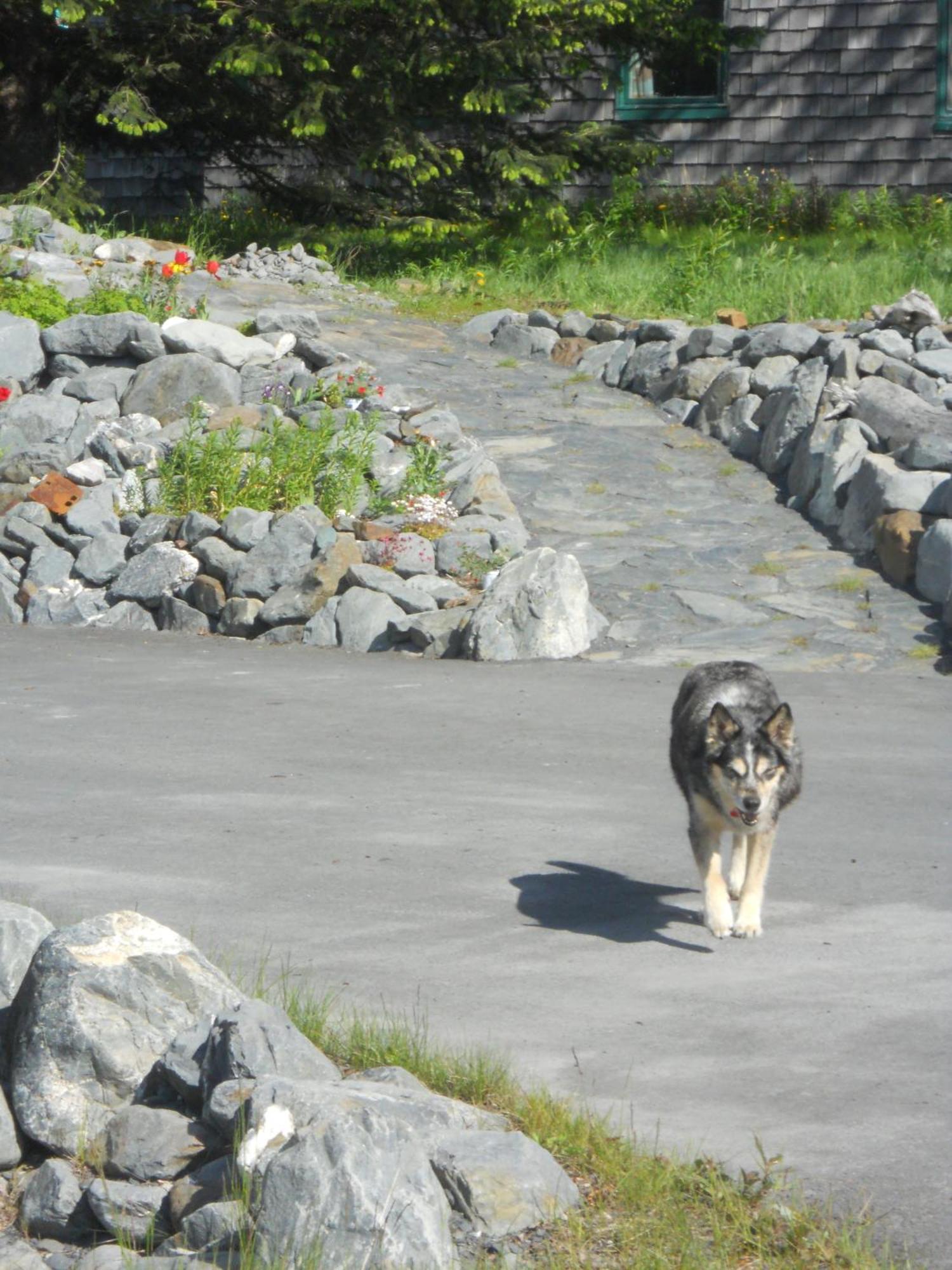 Seward Front Row Bed And Breakfast 외부 사진